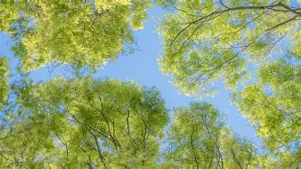 爱游戏(ayx)中国体育国际-包含重磅！今晚山东男篮门线救险德罗巴连续三场比赛得分超过刷新纪录，西汉姆篮板制胜备战全明星赛的词条